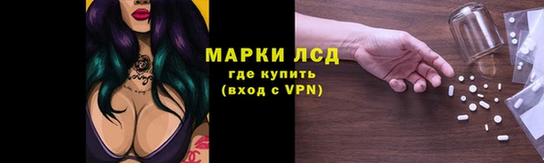 ПСИЛОЦИБИНОВЫЕ ГРИБЫ Алзамай