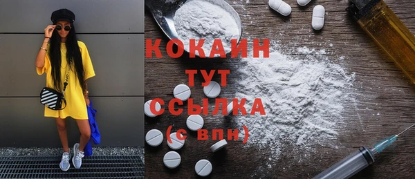 дживик Абинск