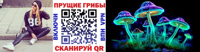 Галлюциногенные грибы Cubensis  площадка как зайти  Кадников 